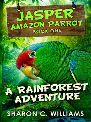 cover image of A Rainforest Adventure